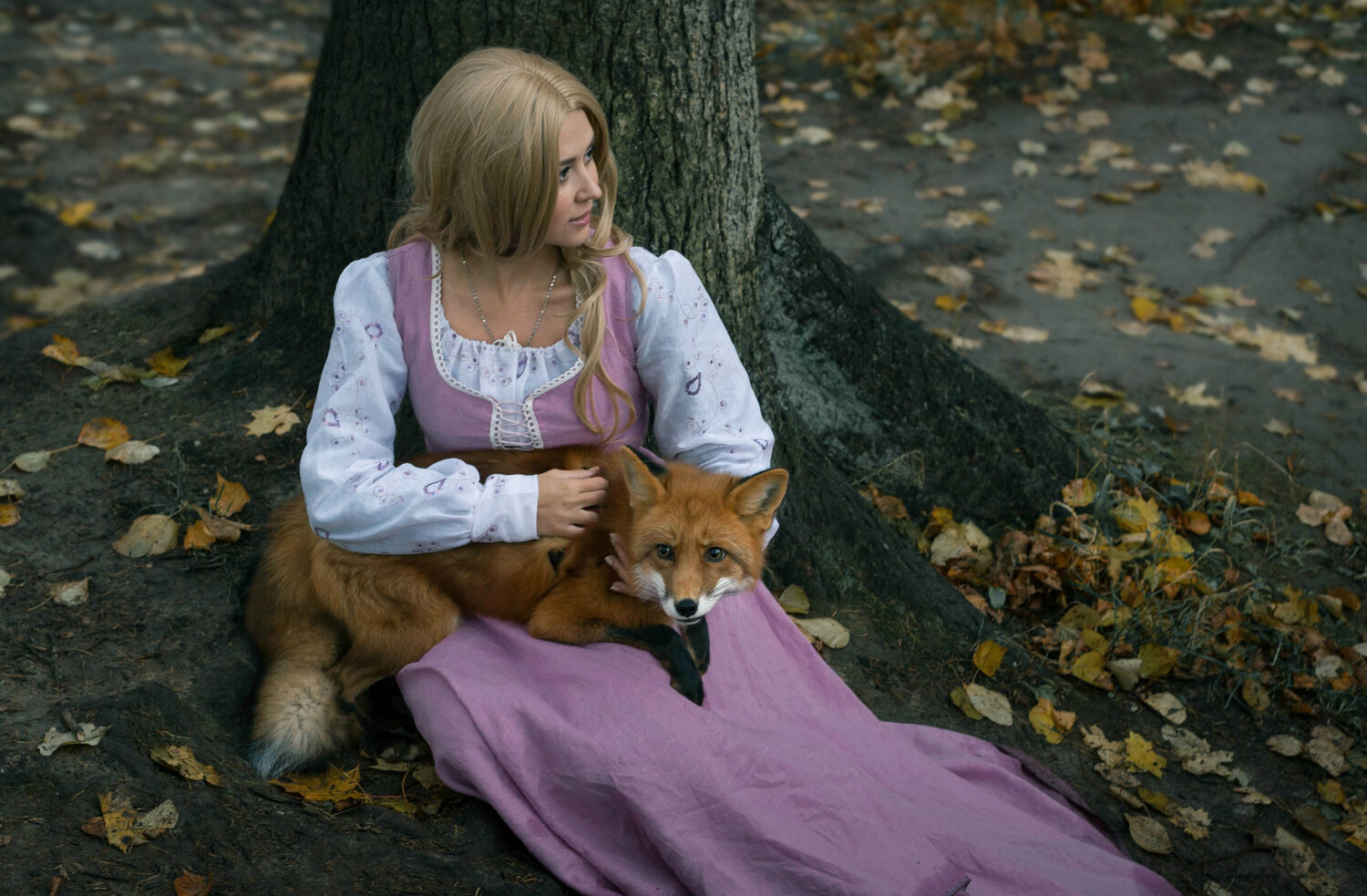 Photo #13994071