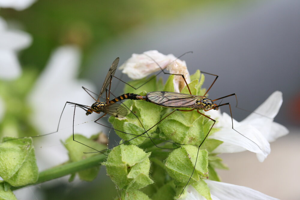 Photograph by Александр Сивкин