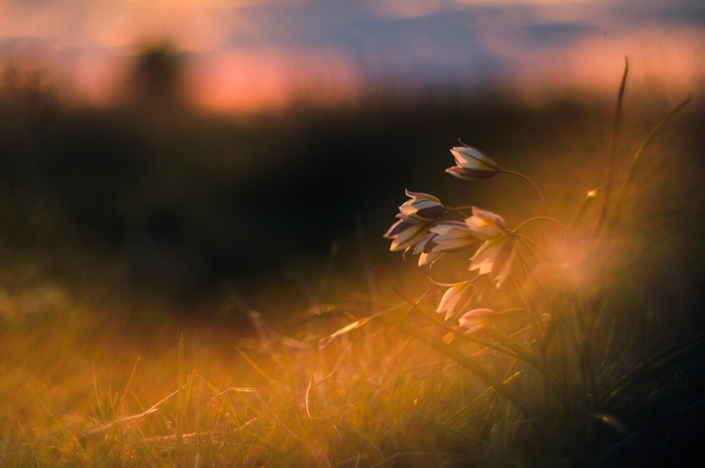 Photograph by MAXIM BONDAREV
