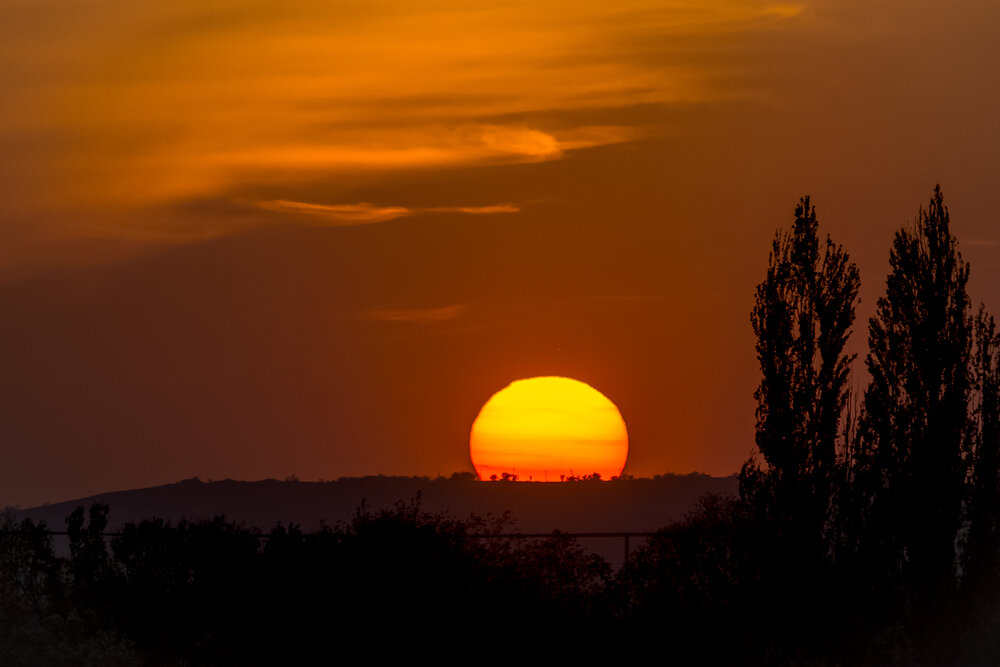 Photograph by Алексей Мякота