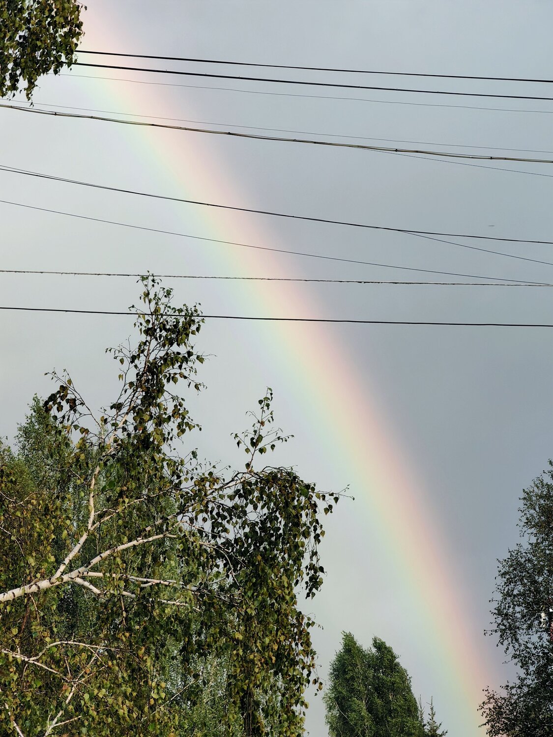 Photo #13994210