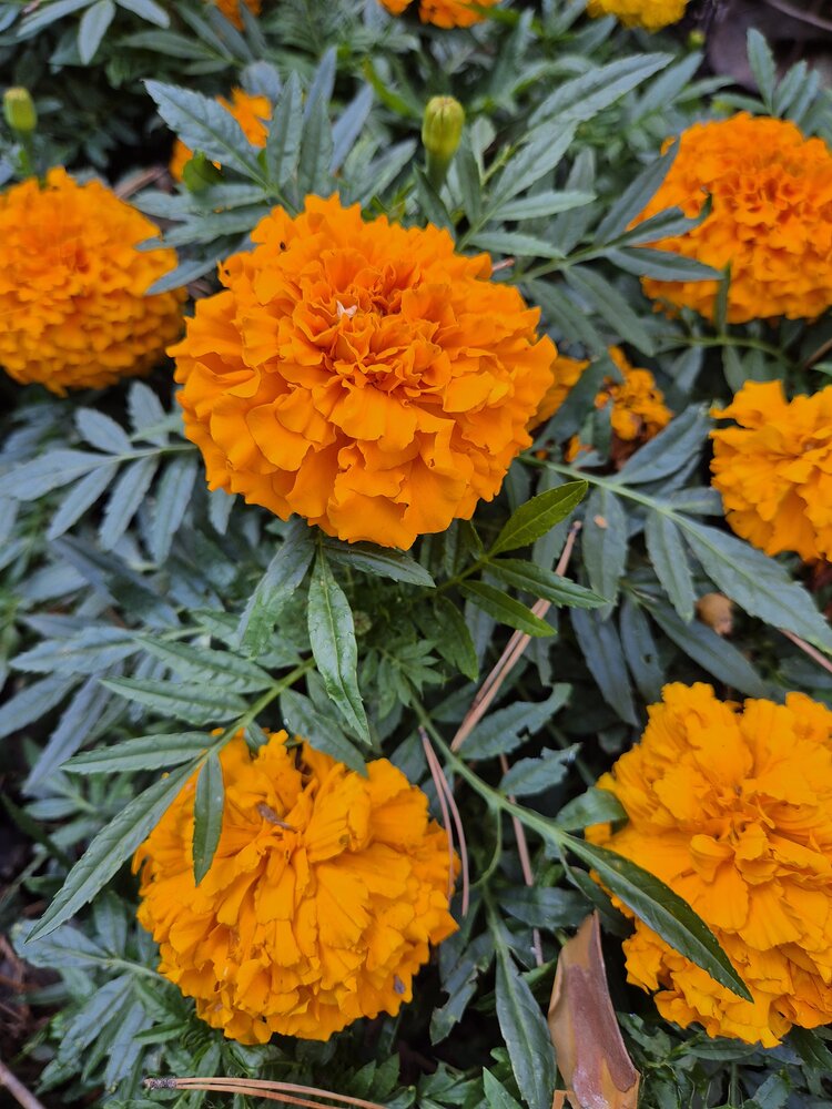 Photograph by Валентина