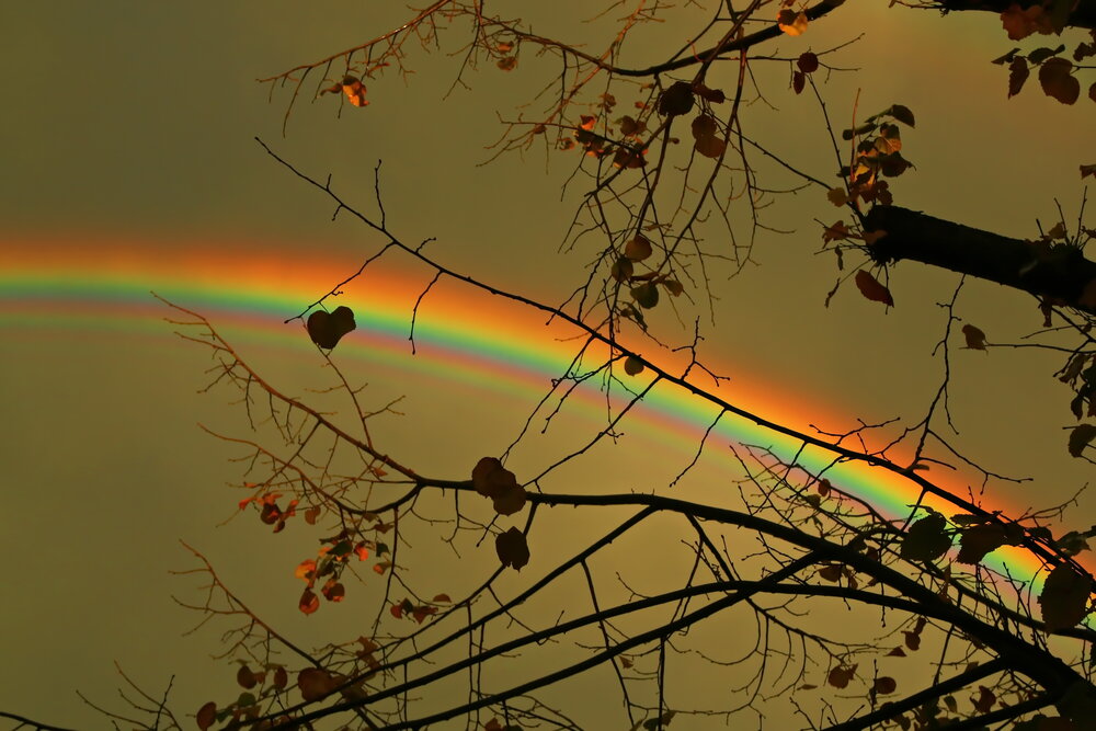 Photograph by Сергей Кульков