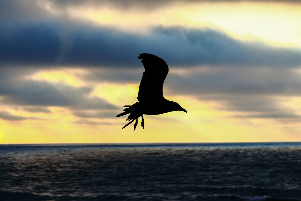 Photograph by Светлана Долотова
