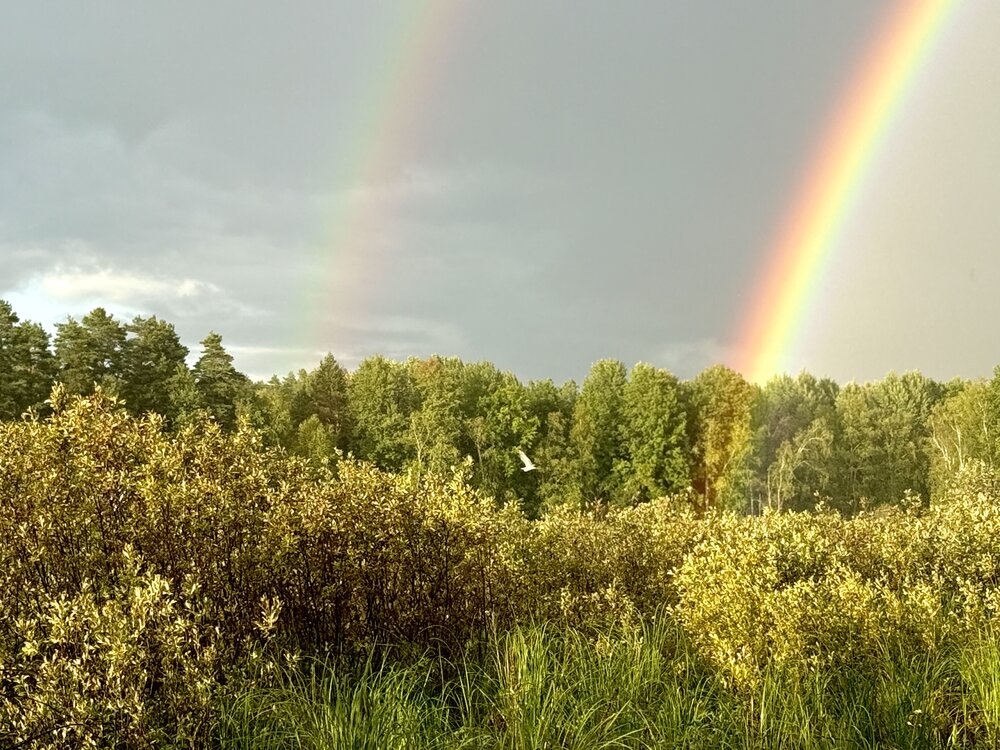 Photograph by Ольга Осинина