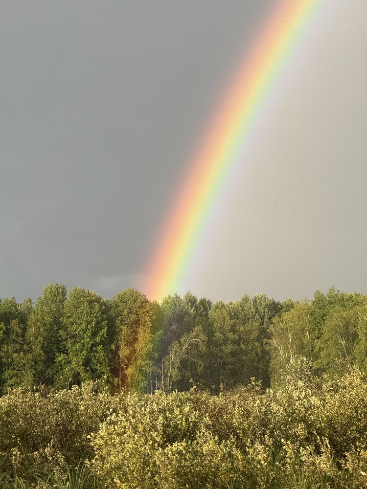 Photograph by Ольга Осинина