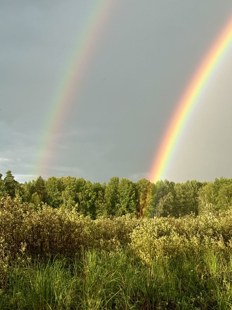 Photograph by Ольга Осинина