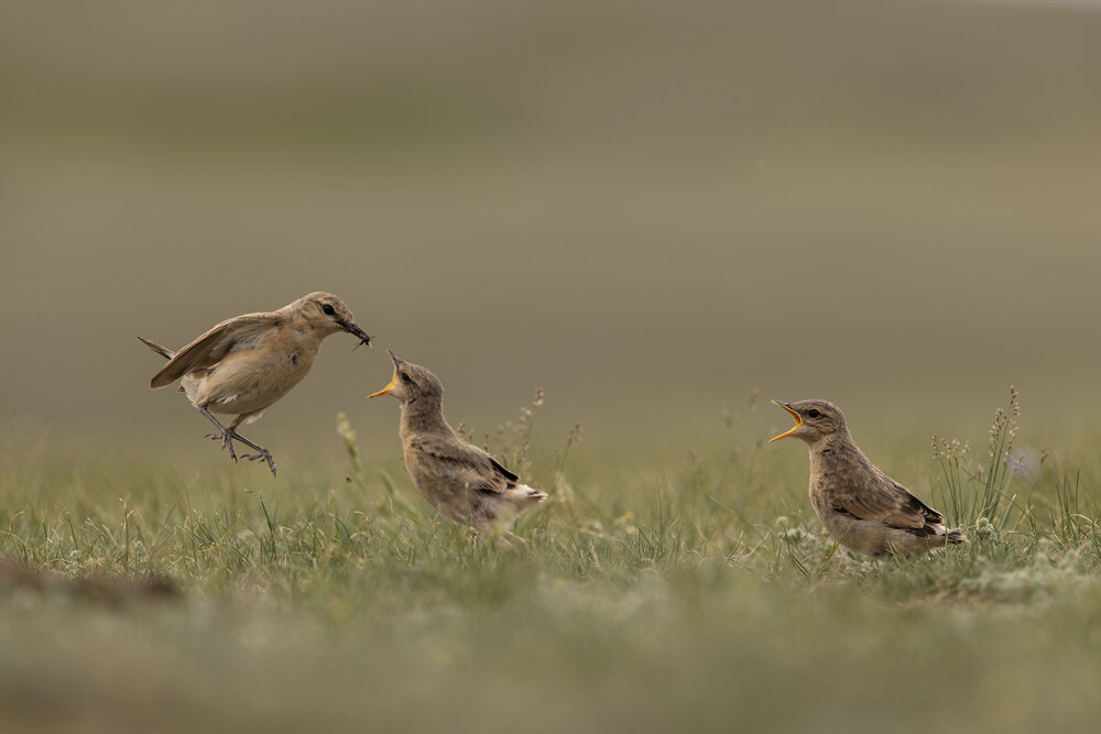 Photograph by Александр Ильин