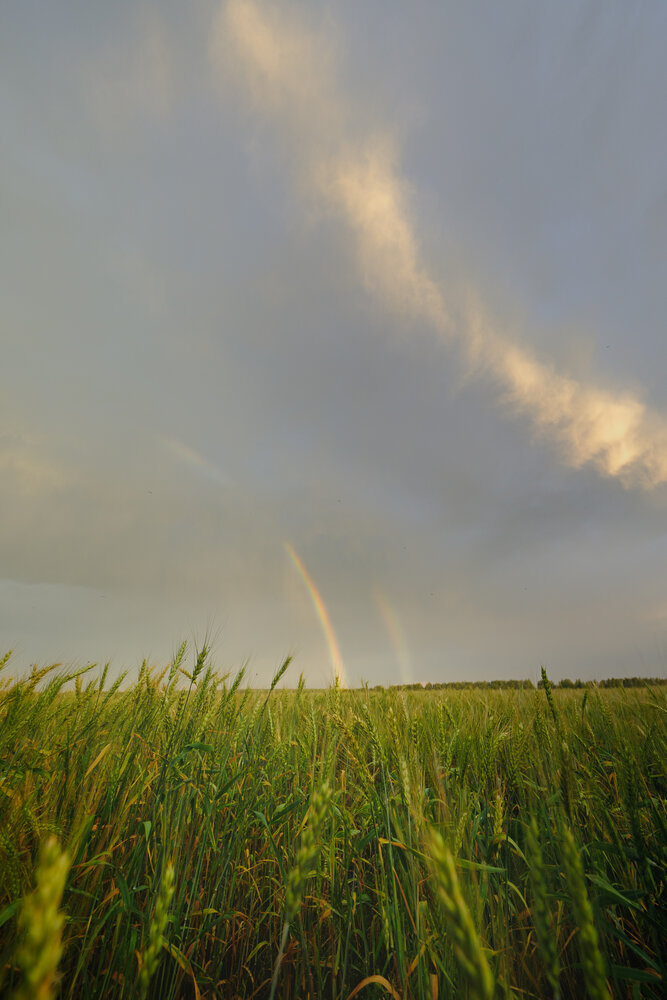 Photograph by Oleg Moskvin