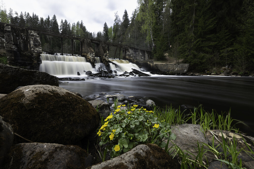 Photo #13994580