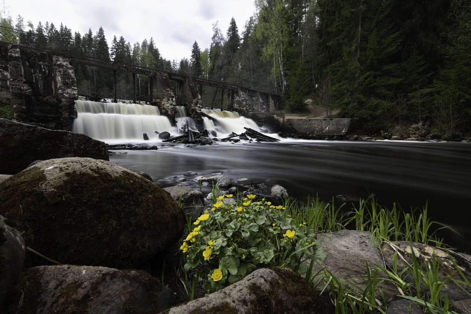 Photo #13994580