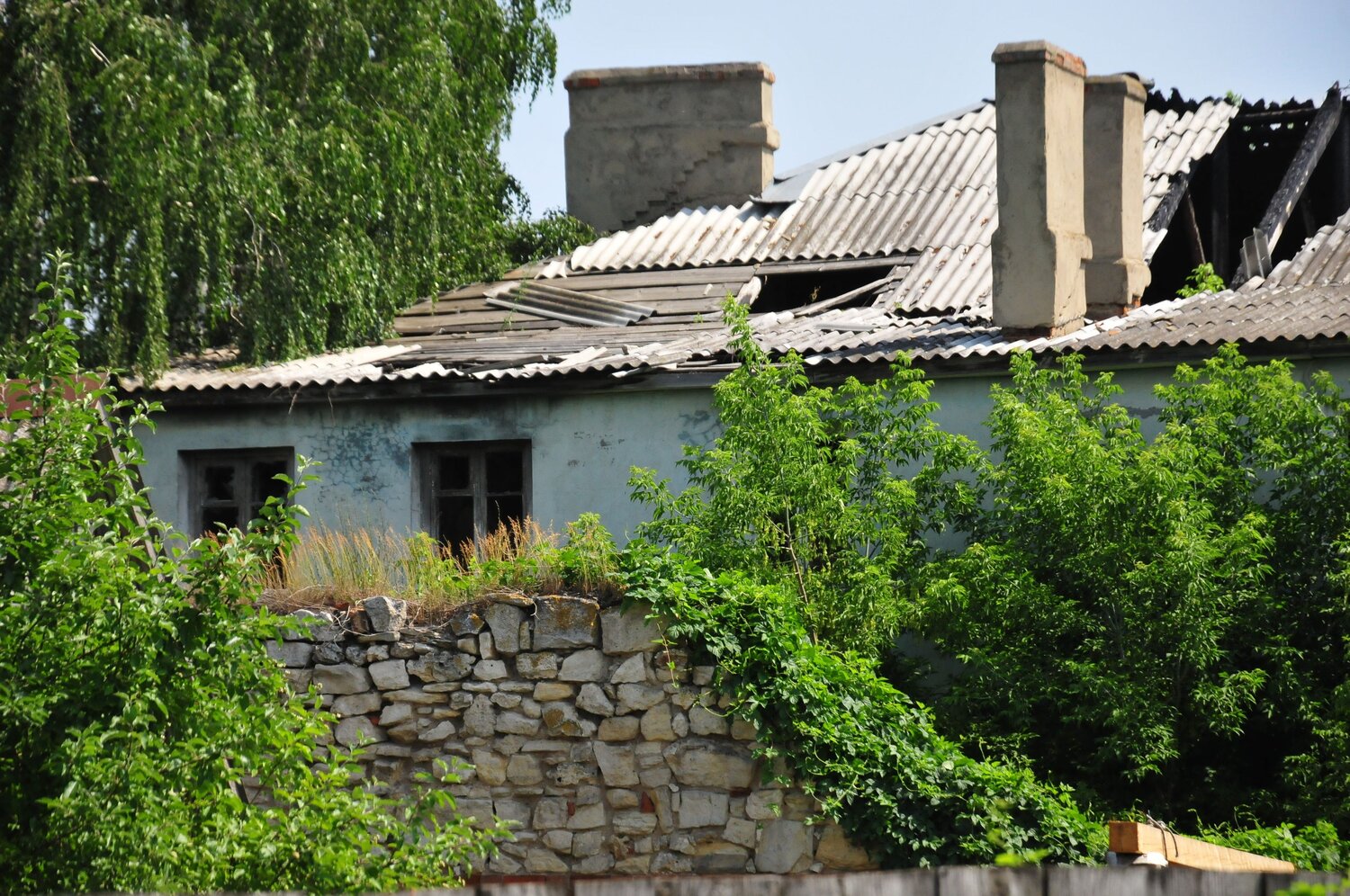 Photo #13994622