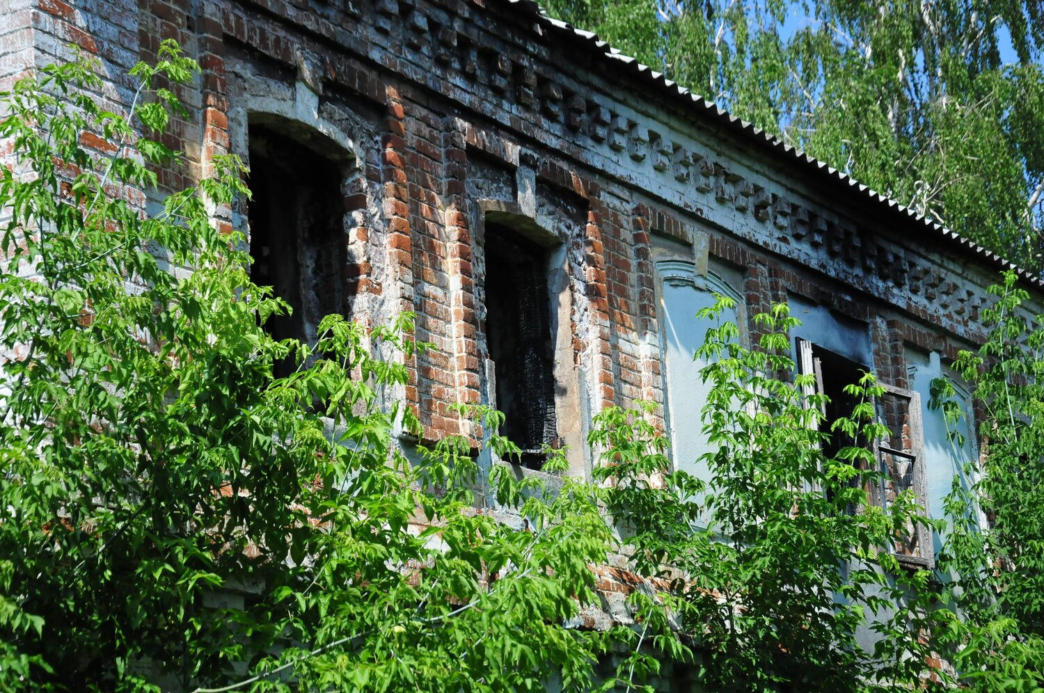Photo #13994629