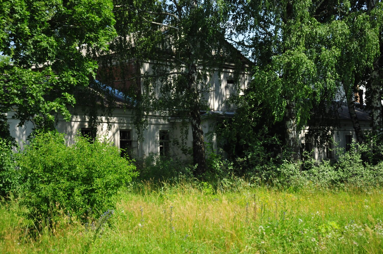 Photo #13994661
