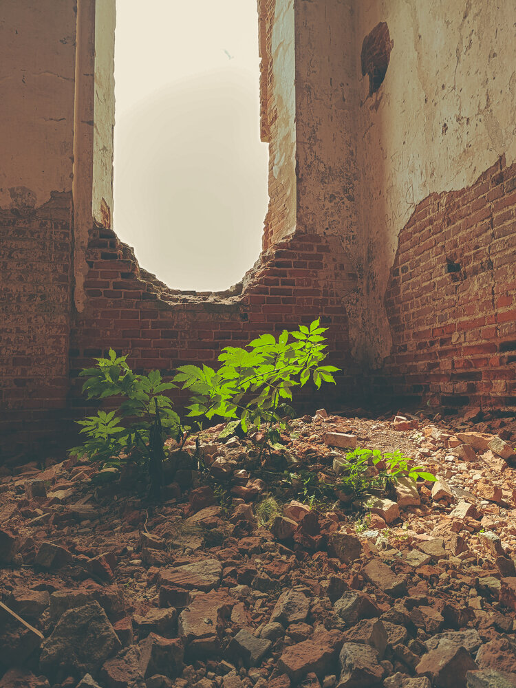 Photograph by Yulia Chupina