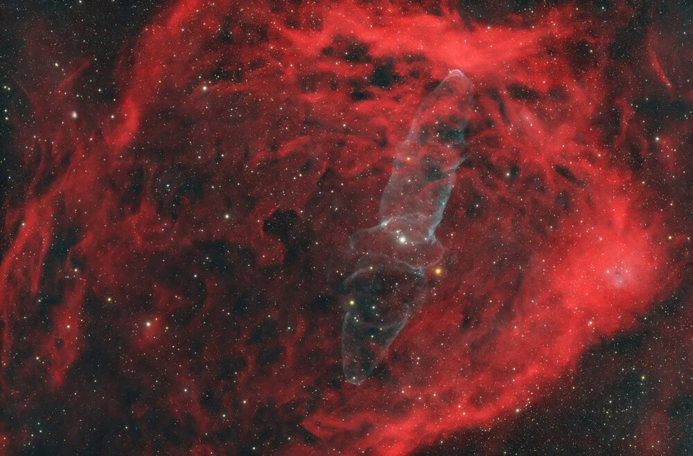 Sh2-129 Flying Bat Nebula and OU4 Squid Nebula