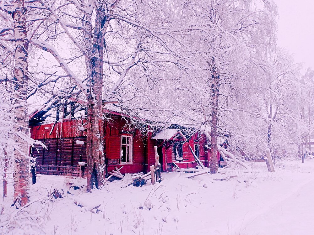 Фотография автора Кочнев Сергей