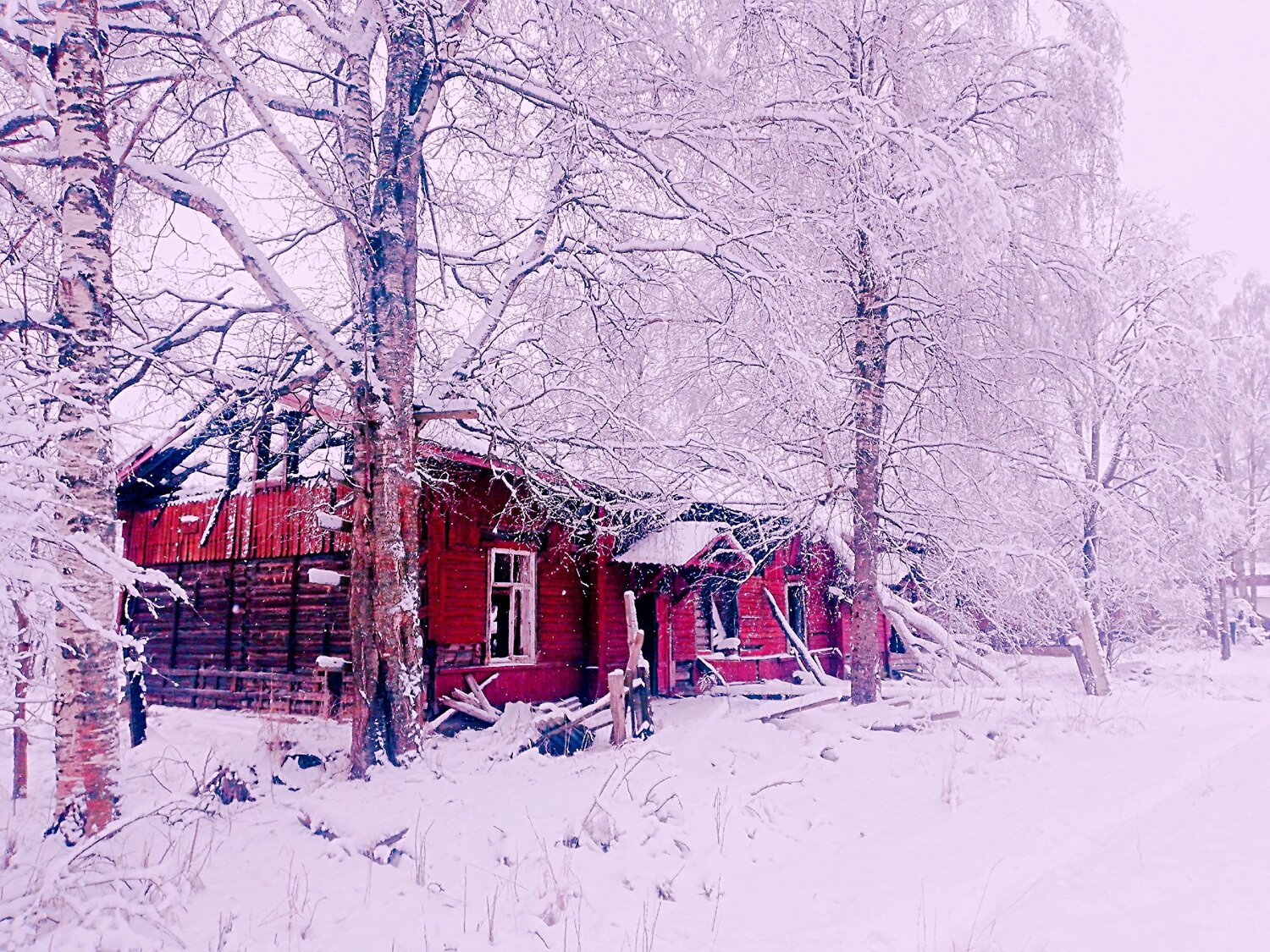 Photo #13994817