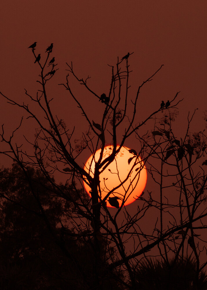 Photograph by JAGADESH RAJENDRAPRASAD