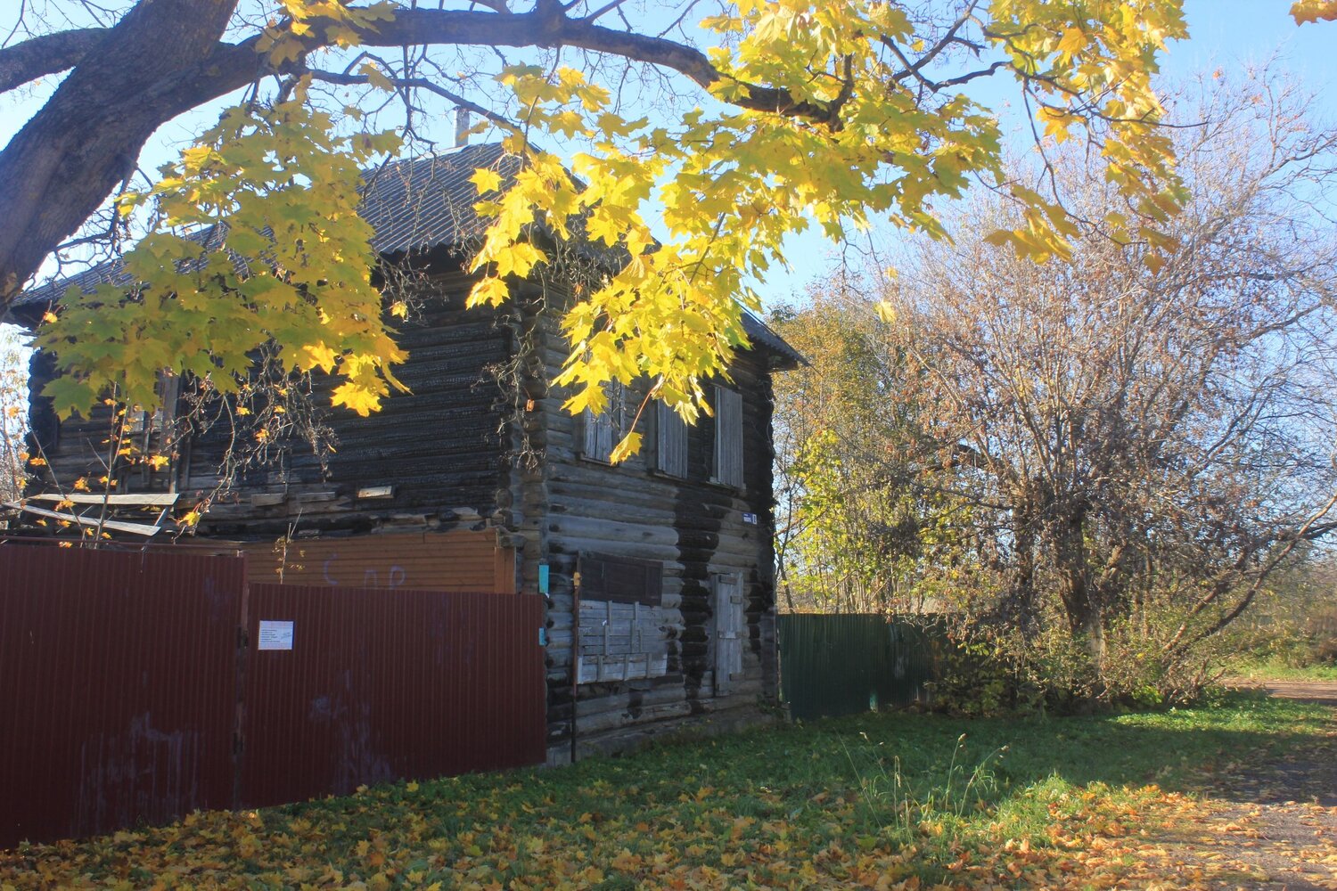 Photo #13994836
