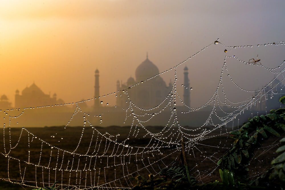Photograph by Mukesh Tripathi