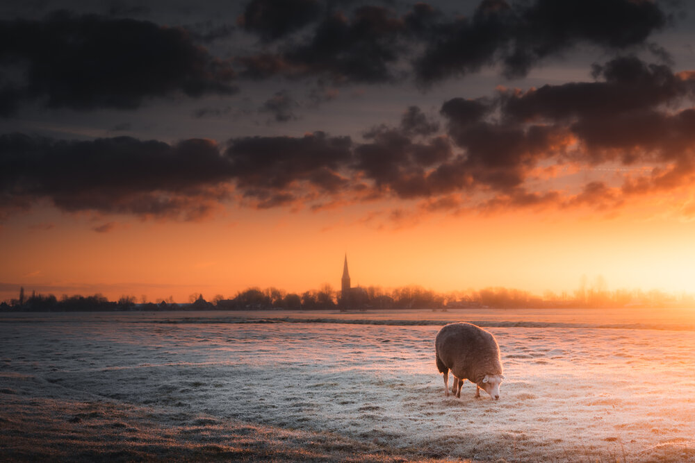 Photograph by vladi argatev