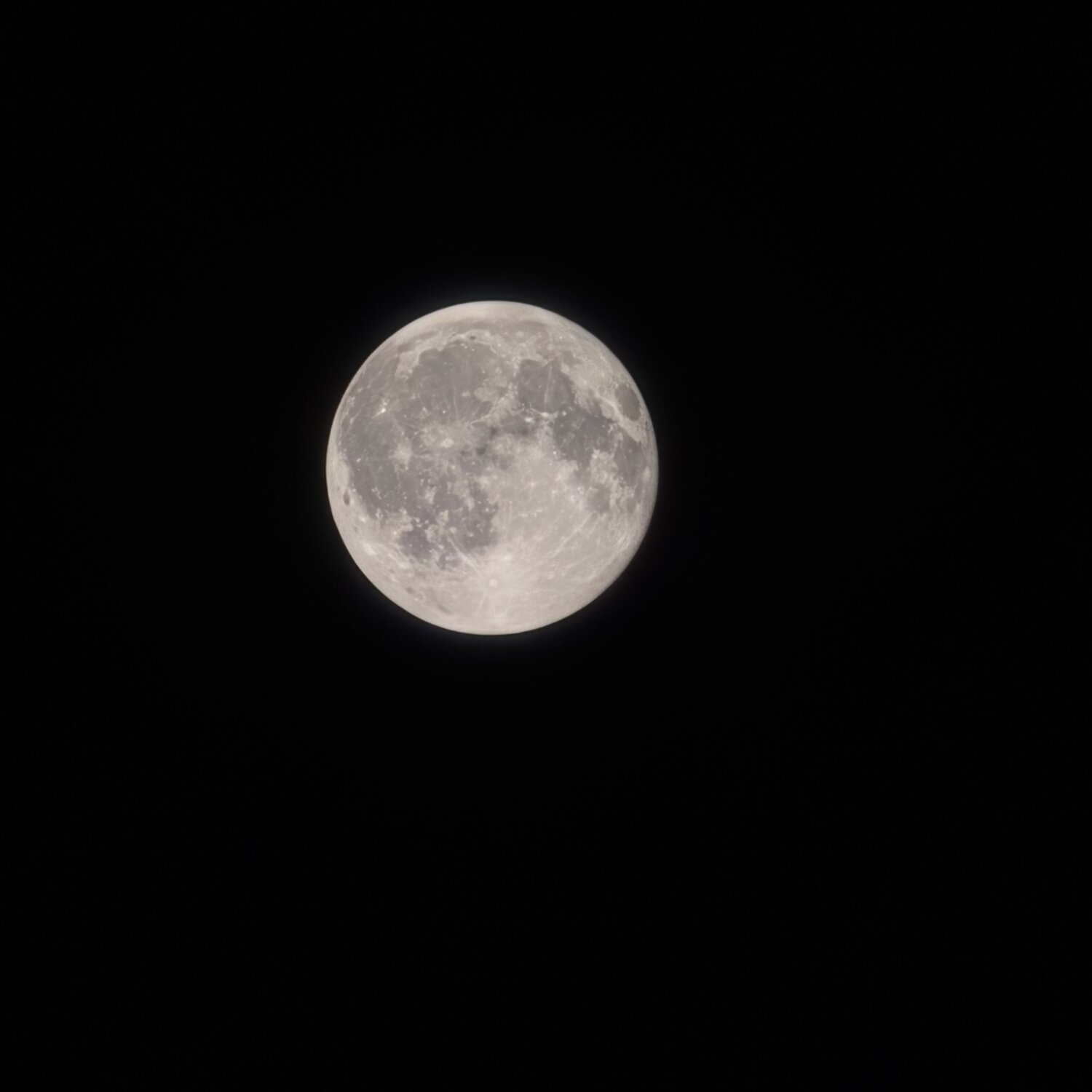 Photo #13994955