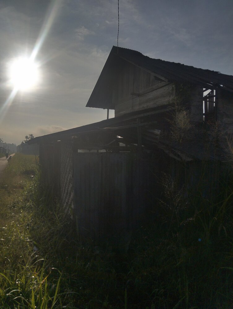 Photo #13995006