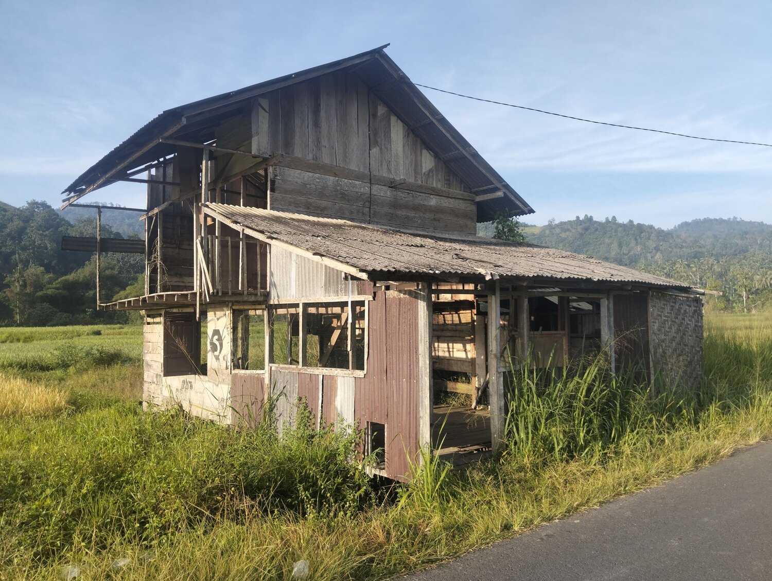 Photo #13995007