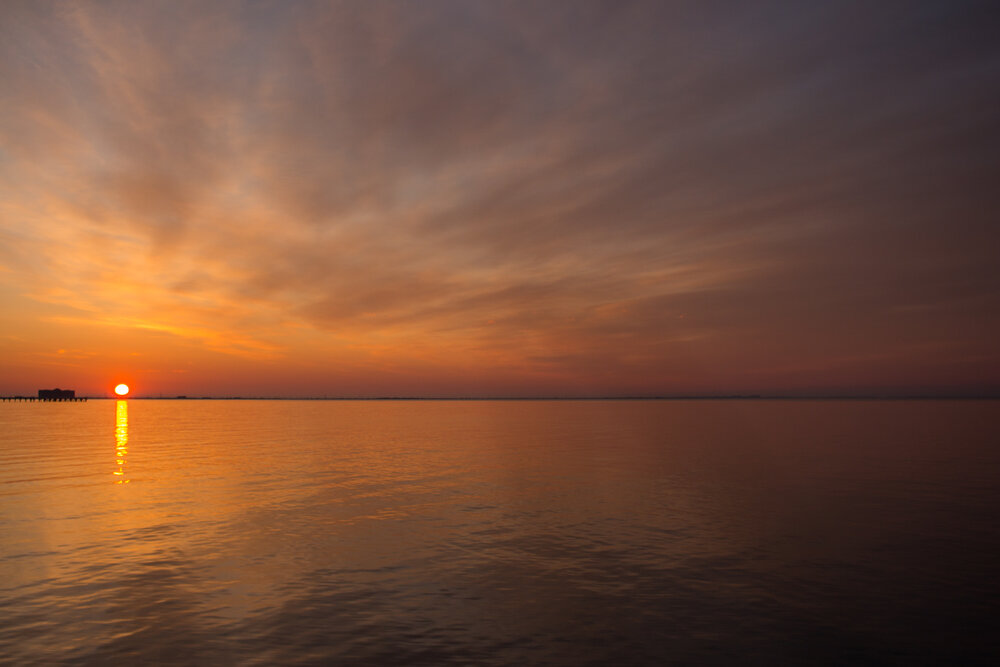 Photograph by 