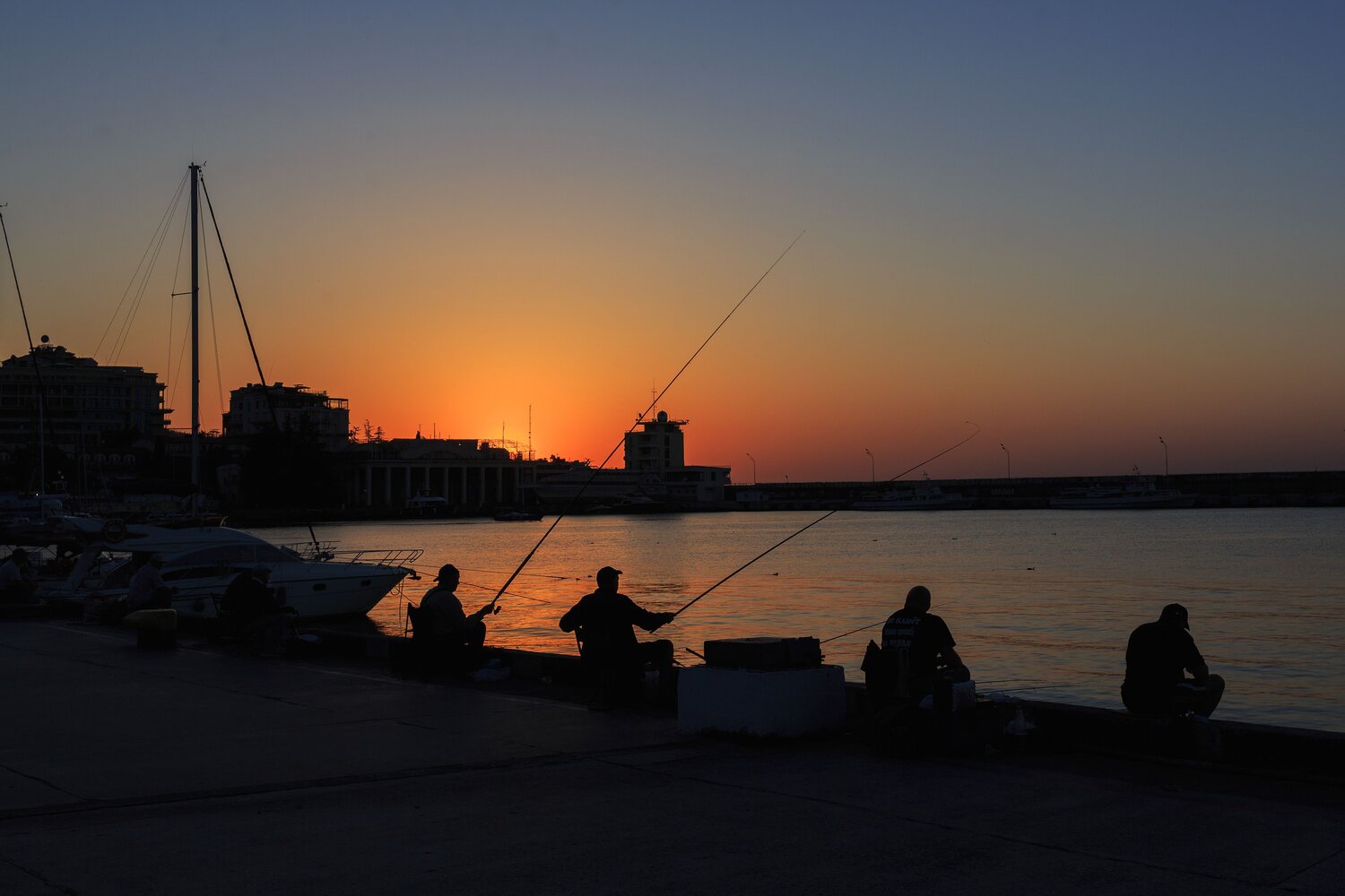 Photo #13995158