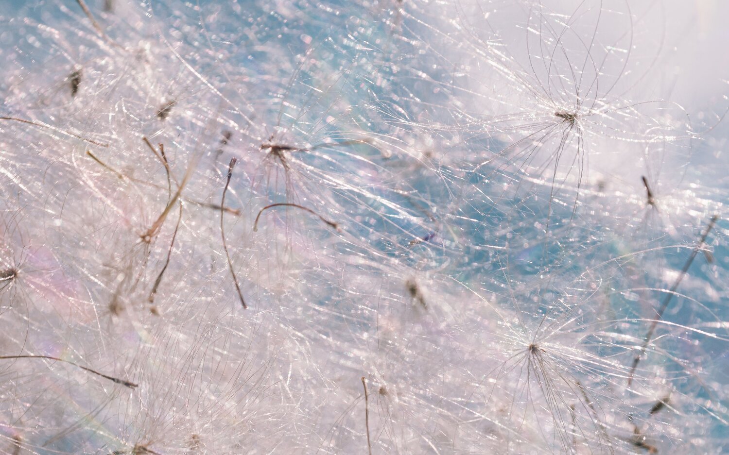 Album cover for “2008”