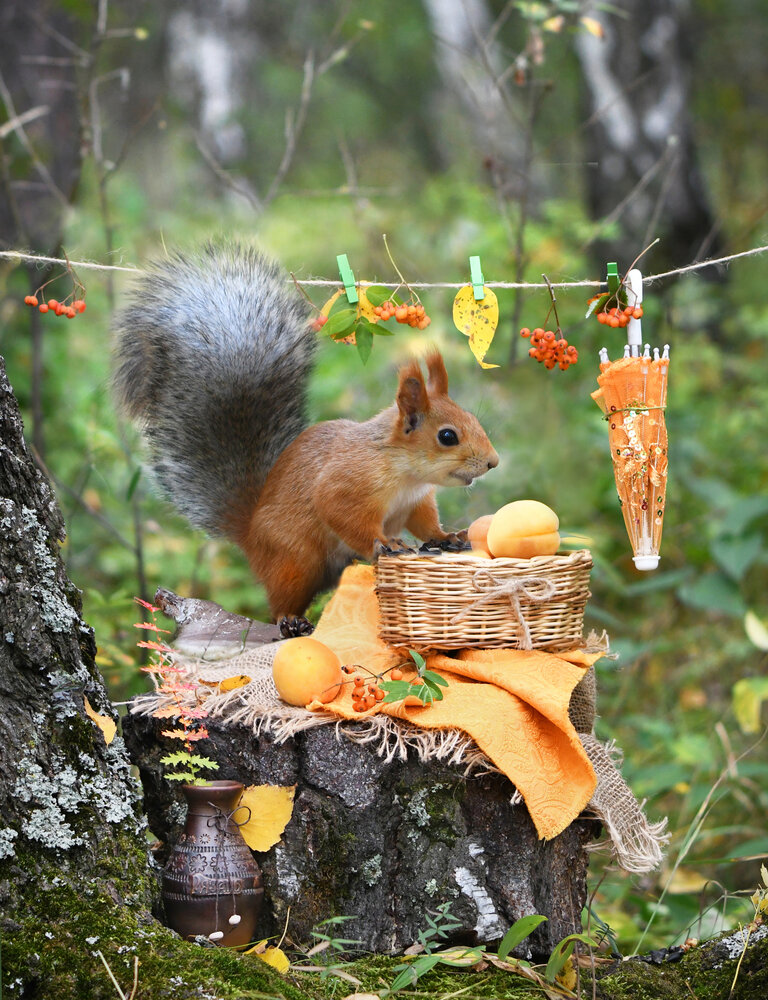 Photograph by Елена Гасенко