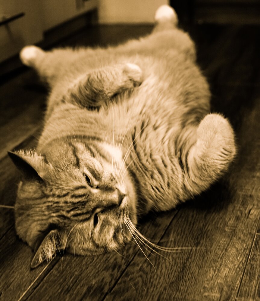 Photograph by Ирина Борисова