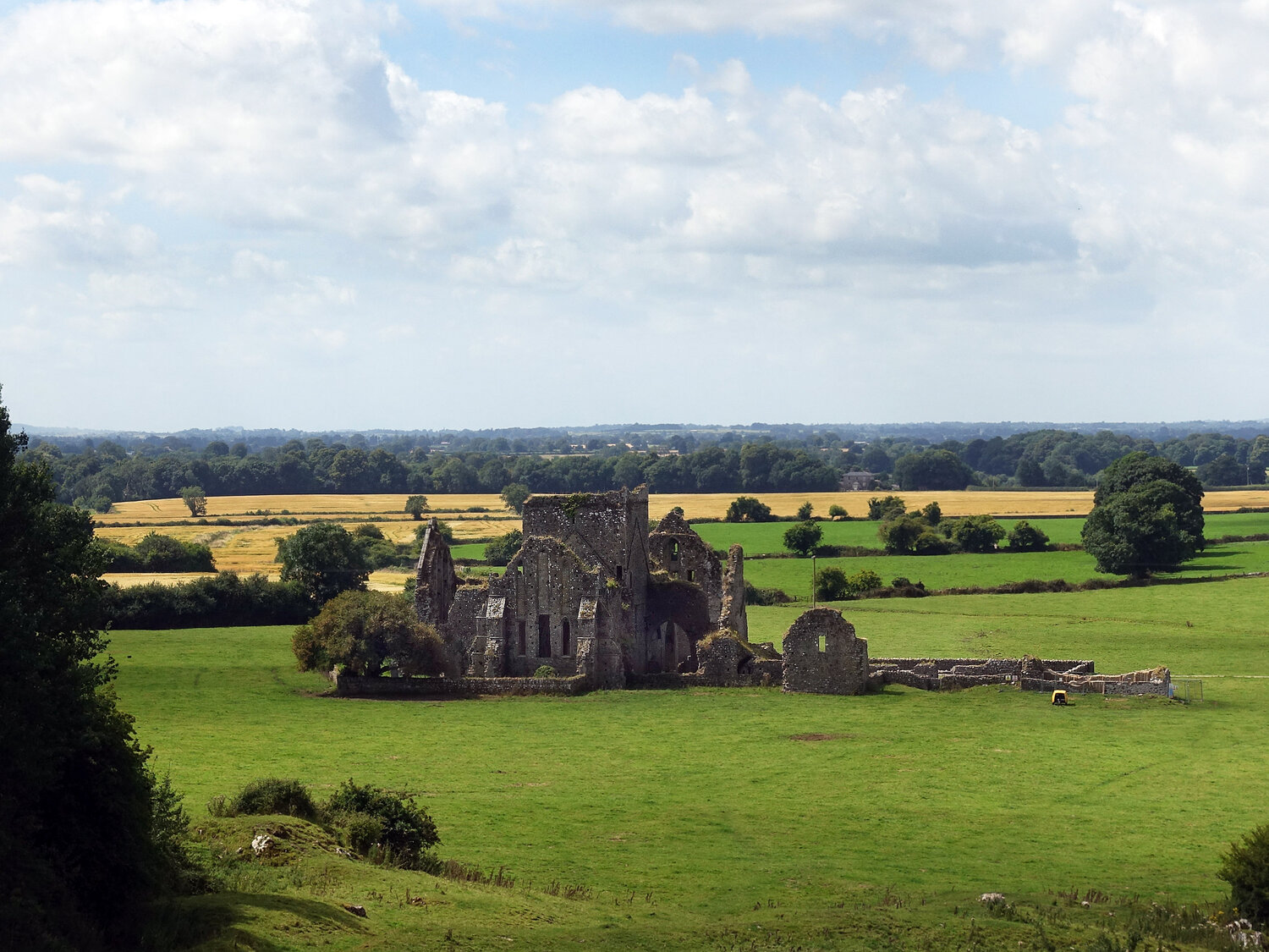 Photo #13995633