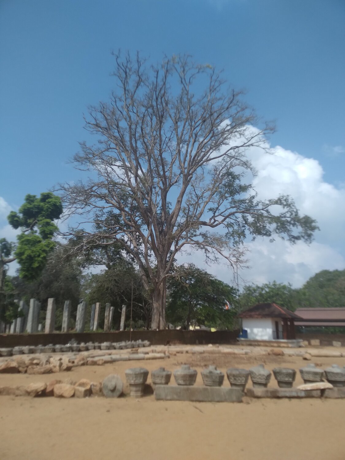 Puja Bhumi
