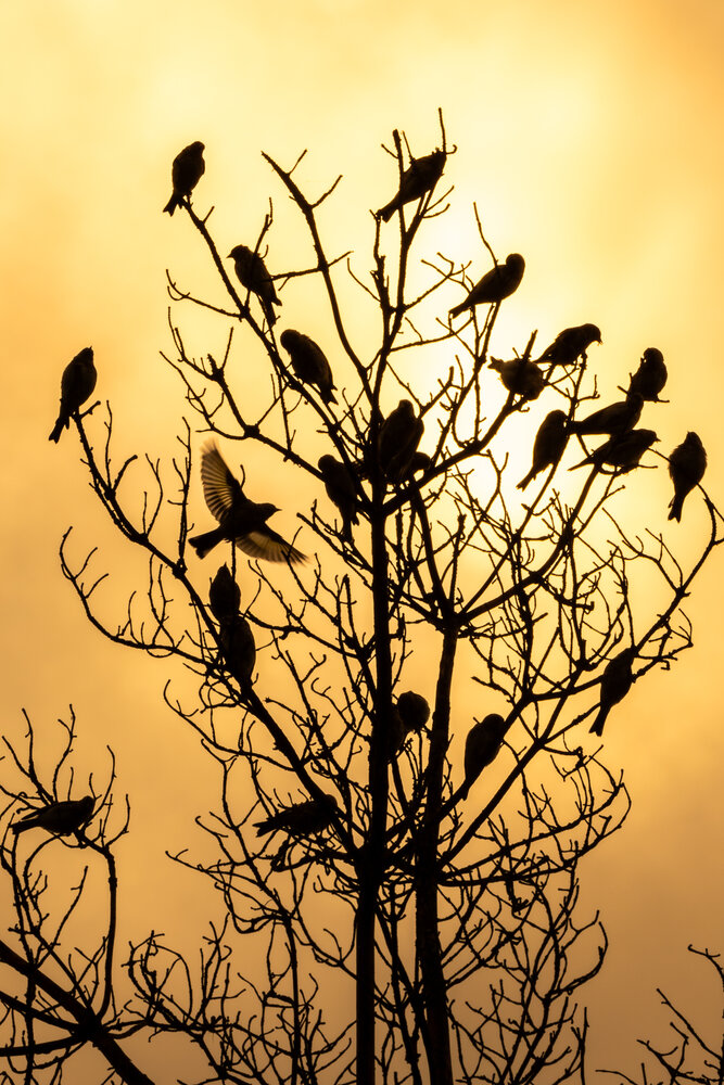 Photograph by Вера Машина