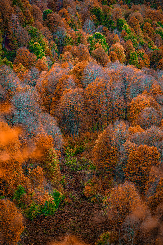 Photograph by Вазген Бояджян