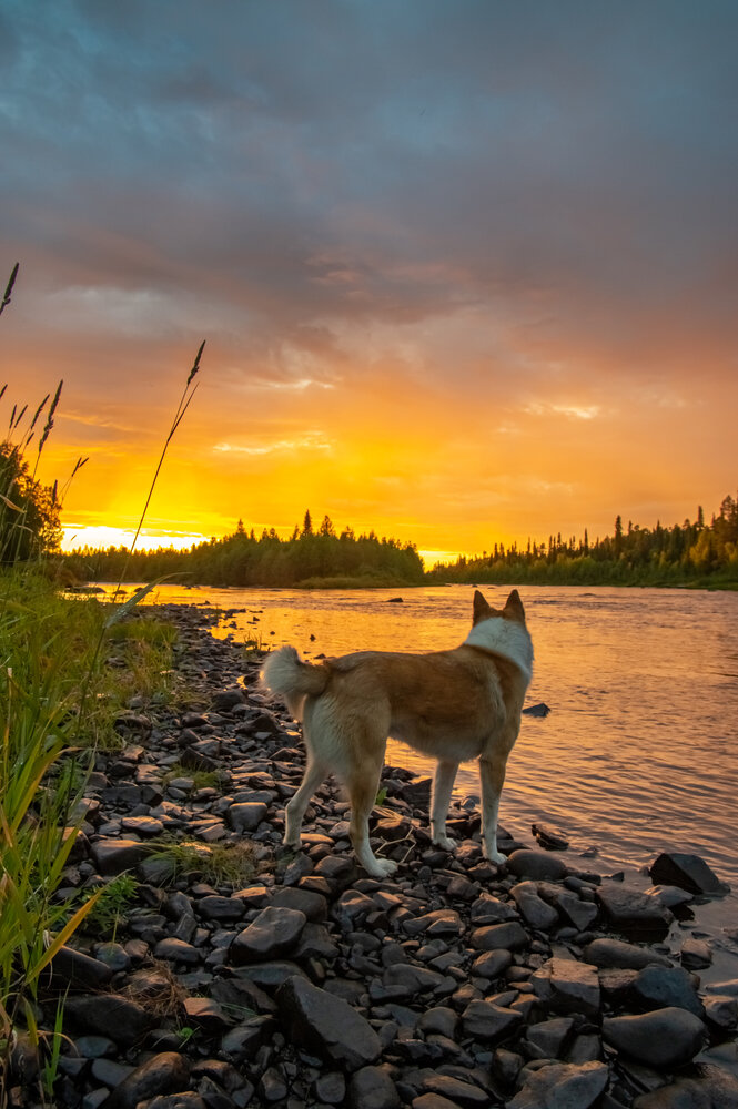 Photograph by Владимир Кузнецов