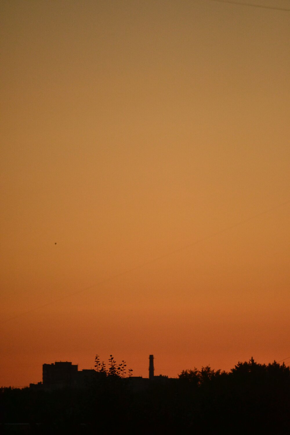 Photo #13995903