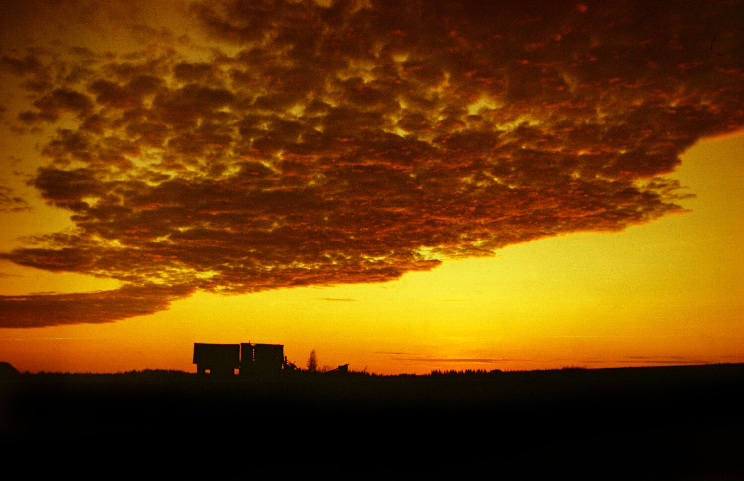 Photo #13996070