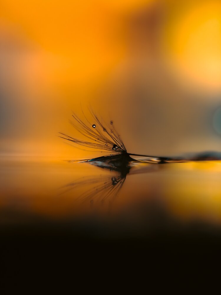 Photograph by Yuliya Karpova