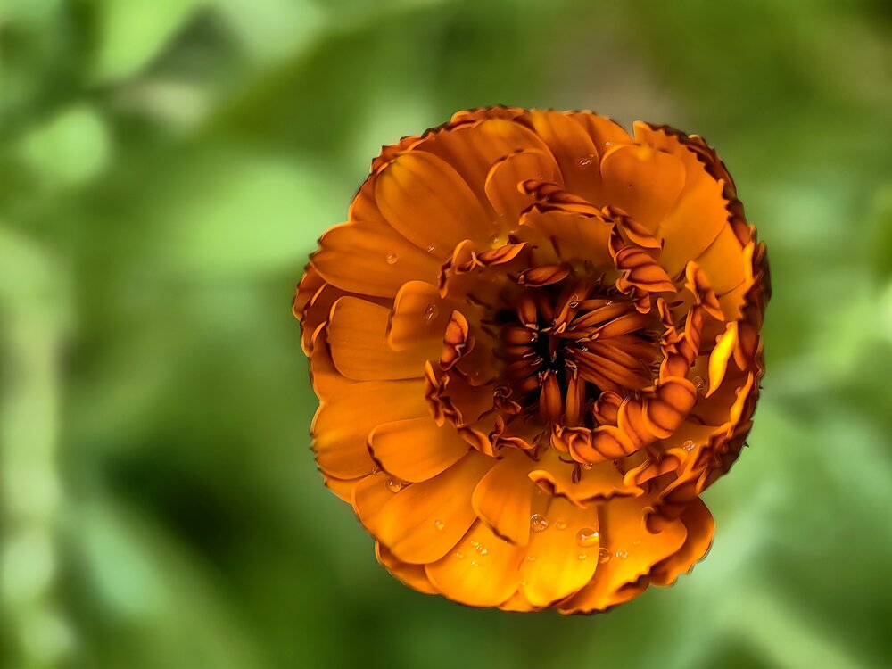 Photograph by Жанна