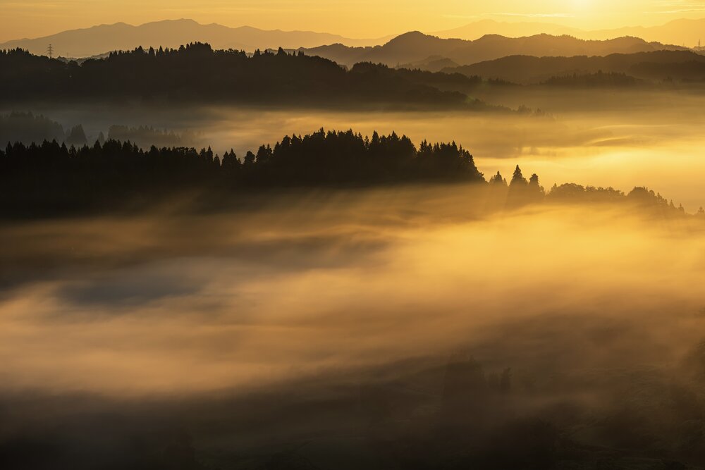 Photograph by OKA NAOKI