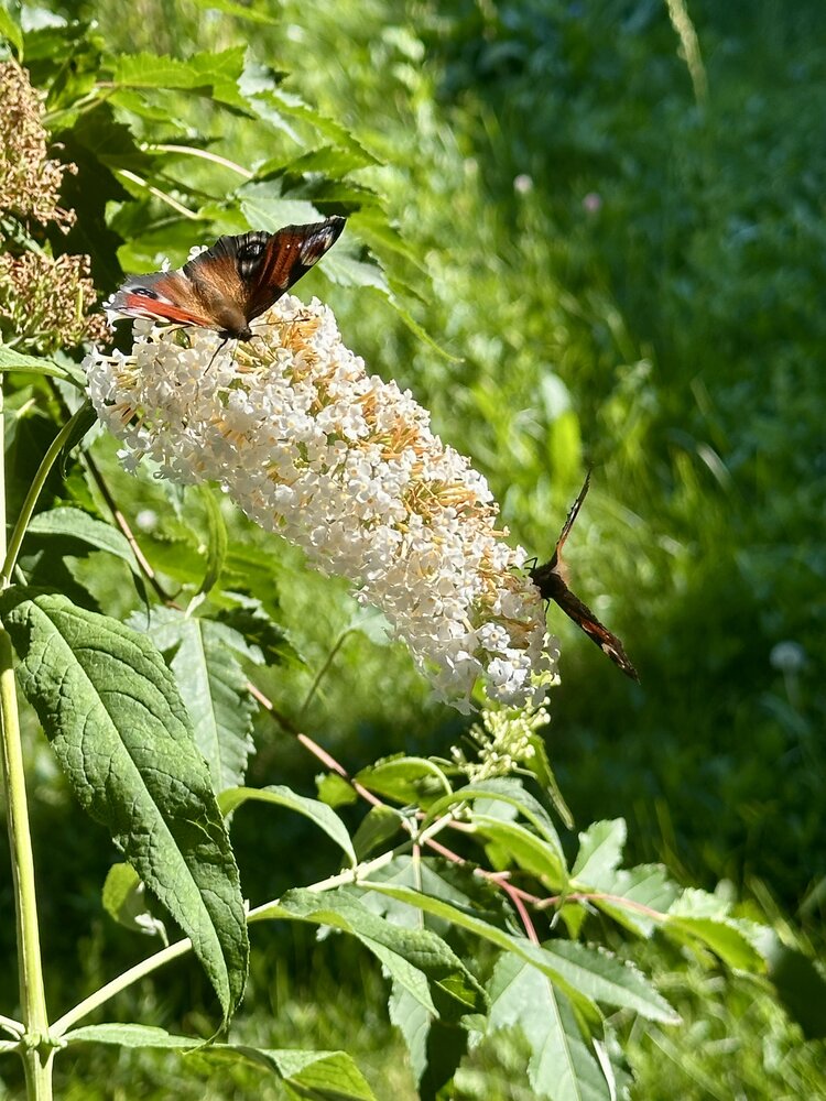 Photograph by Алексей Гридасов