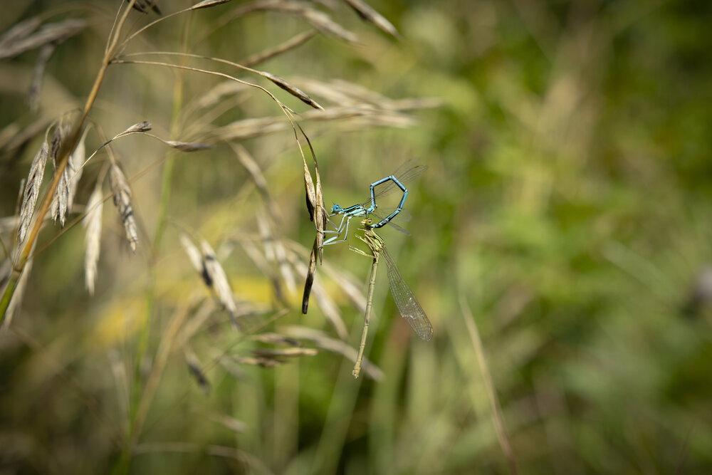 Photograph by Екатерина Великанова