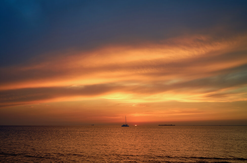 Orange fire