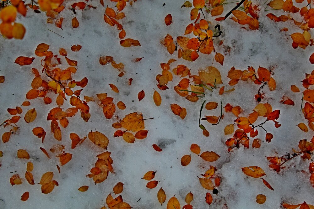Photograph by Юлия Иванова