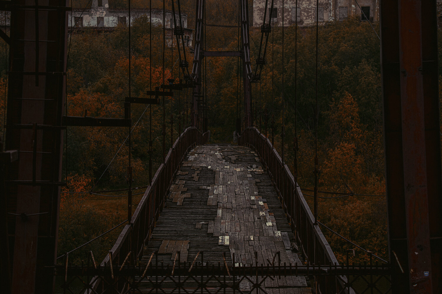 Photo #13996633