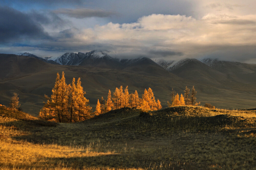 Photograph by Галина Хвостенко